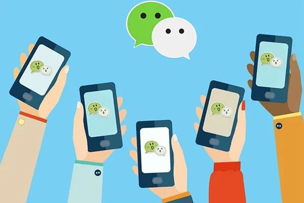 只知道对方的陌陌号，能查到对方的微信号或手机号吗？